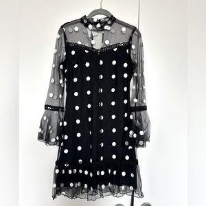 Polka-Dot Sheer Overlay Dress with Lace Detailing